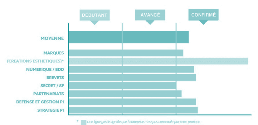 Visuel empreinte PI